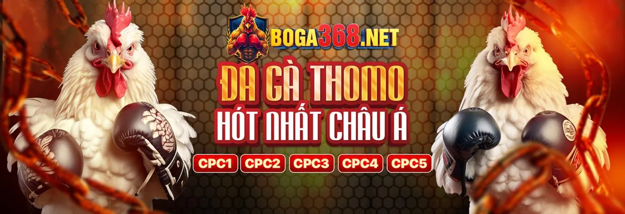 Sân đấu đá gà trực tuyến sôi động tại BLUE88